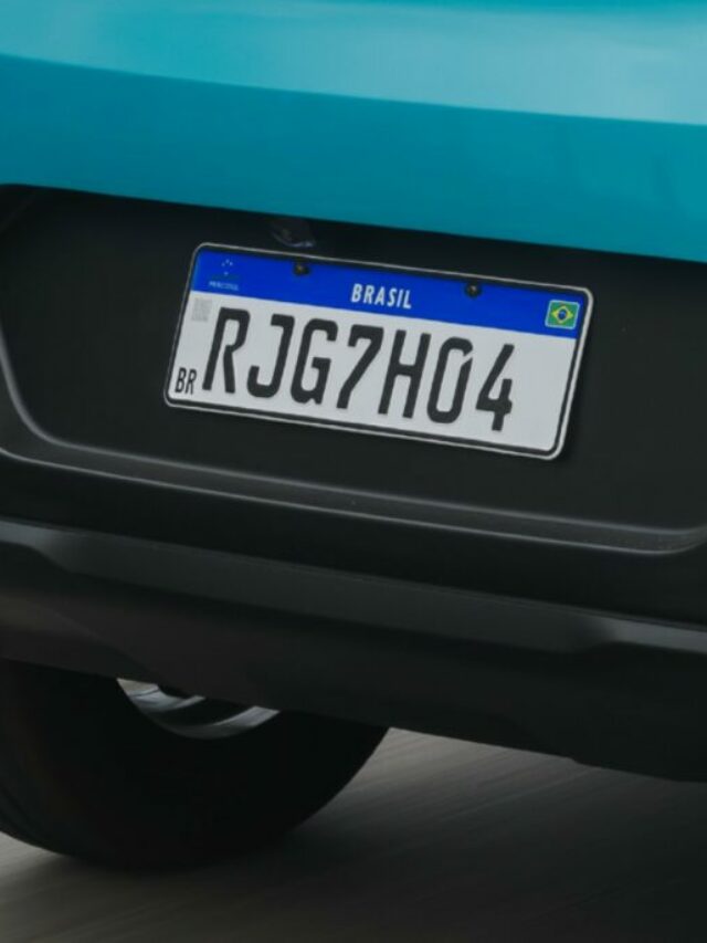 Placa delete dá multa infração?