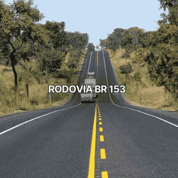 Rodovia br 153 com pista duplicada e faixas amarelas centrais, onde caminhões trafegam por trecho asfaltado cercado de vegetação e árvores secas, evidenciando a importante rota de transporte brasileiro em paisagem rural.