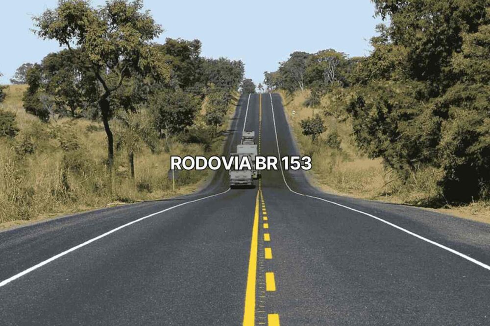 Rodovia br 153 com pista duplicada e faixas amarelas centrais, onde caminhões trafegam por trecho asfaltado cercado de vegetação e árvores secas, evidenciando a importante rota de transporte brasileiro em paisagem rural.