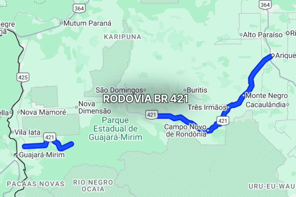 Mapa claro mostrando o trajeto da BR 421 em Rondônia, Brasil, com linha azul destacando a rodovia que liga Ariquemes a Campo Novo de Rondônia, passando por áreas de floresta e regiões rurais ao longo do percurso.